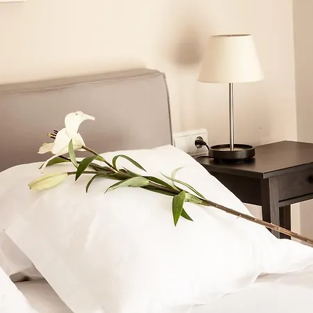 Amparo Cinco * Cordoba