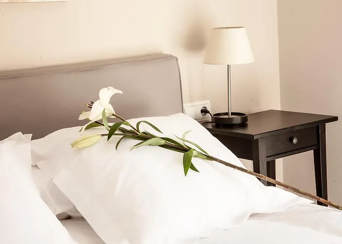 Amparo Cinco * 코르도바