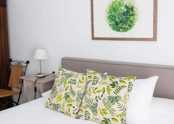 Amparo Cinco 코르도바