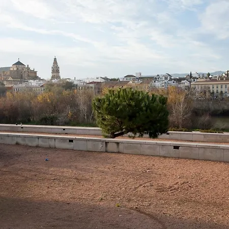 Apartment Amparo Cinco Cordoba