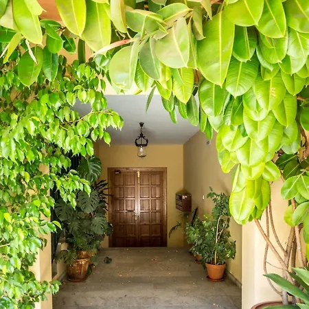 Amparo Cinco * Córdoba