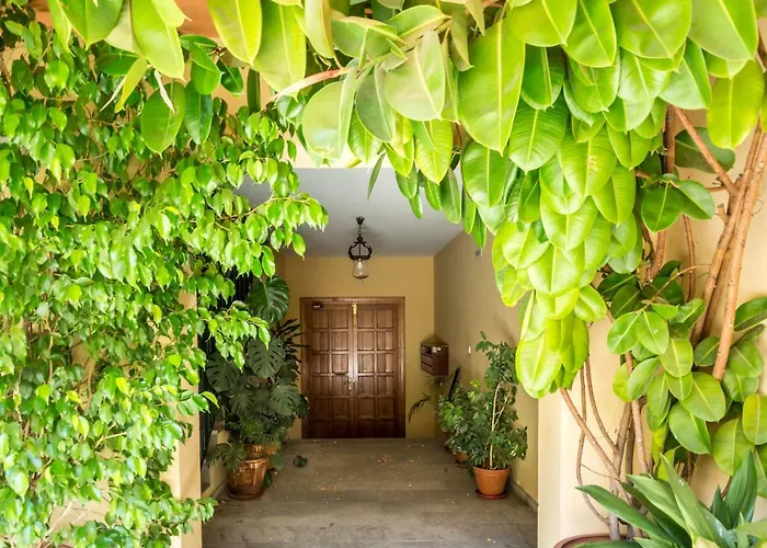 Amparo Cinco * קורדובה