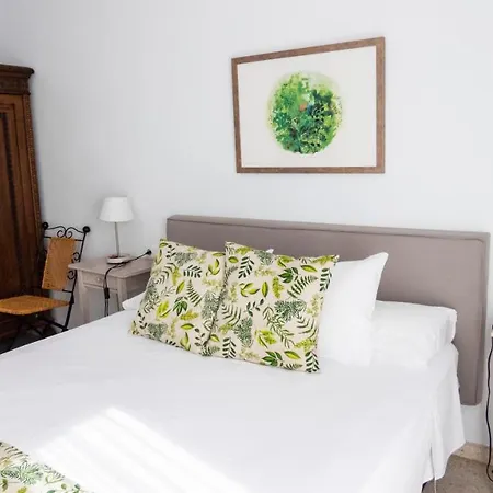 Appartement Amparo Cinco *